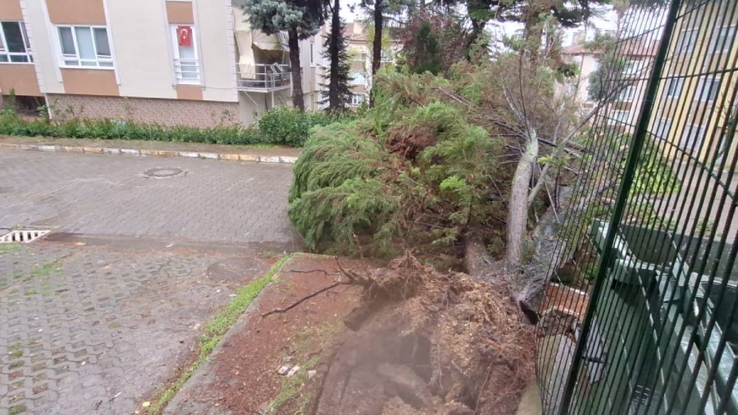 Yağmur, fırtına ve felaket... Kış hızlı geldi! Kar kalınlığı 50 santimetreyi geçti 1